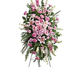 Magnificent Farewell