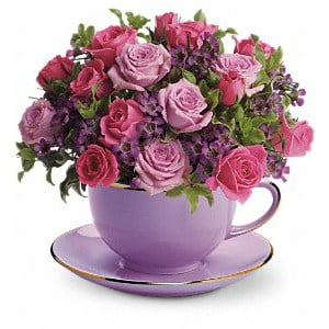 Cup of Roses
