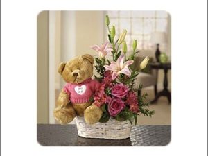 A Beary Happy Birthday