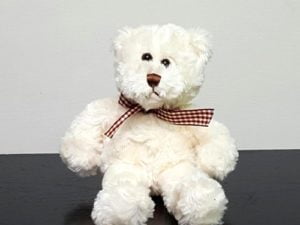 Small Bear Plush