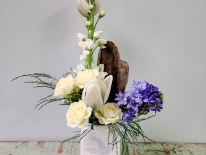 Beachy Dreams and Better Days To Come