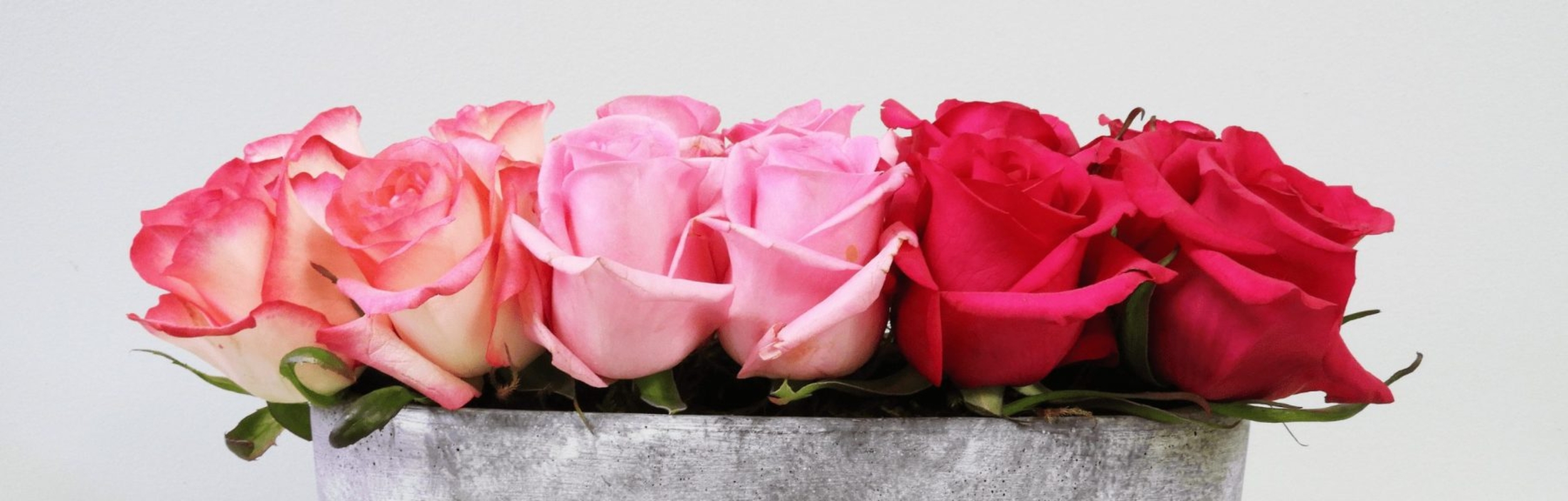 Slider-Photo-2-2500x800_c-min