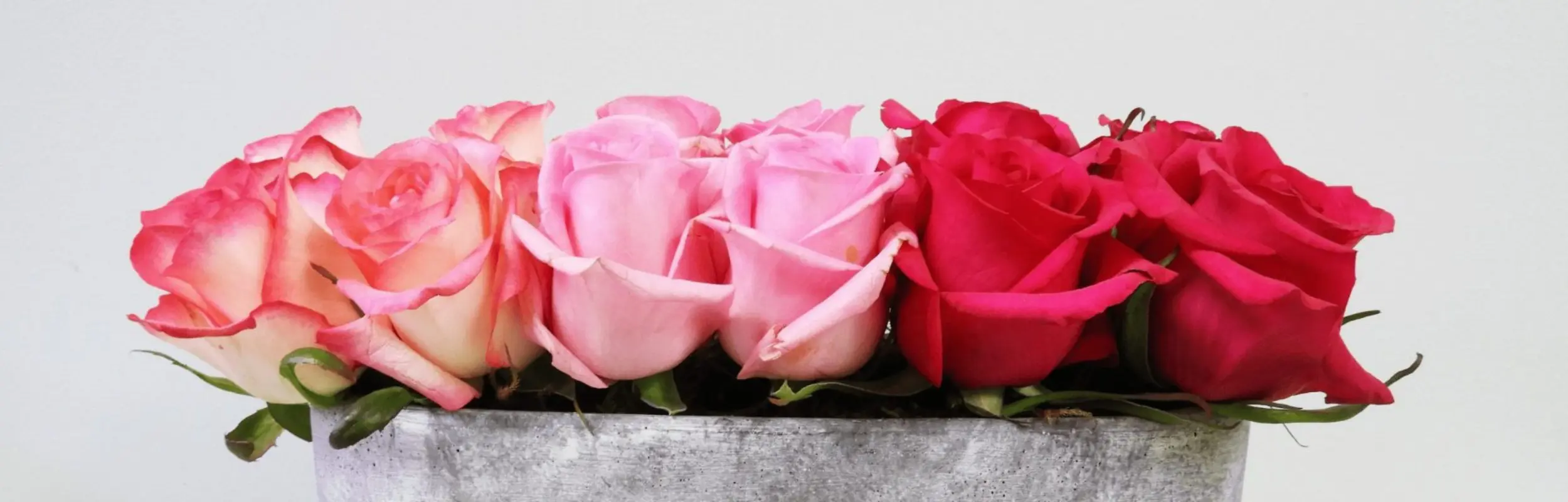 Slider-Photo-2-2500x800_c-min