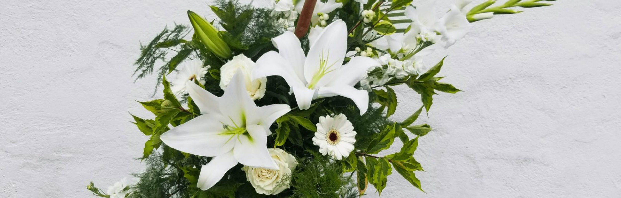 Petals Plus Flower Display 1