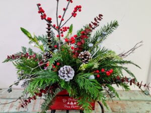 Snow Day Sleigh Ride